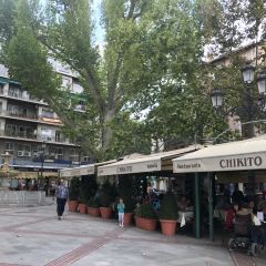 Chikito User Photo