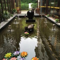 THE PENINSULA OF ROYAL LAKE HOTLES·RESTAURANT ảnh của người dùng