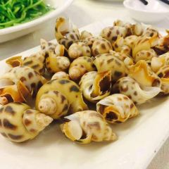 XIAO YAN JING DA PAI DANG User Photo