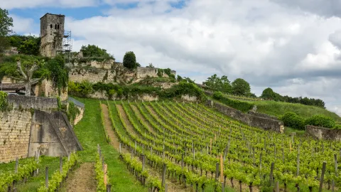 Bordeaux travel destination