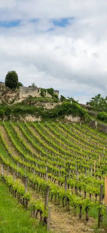 ボルドーのホテル