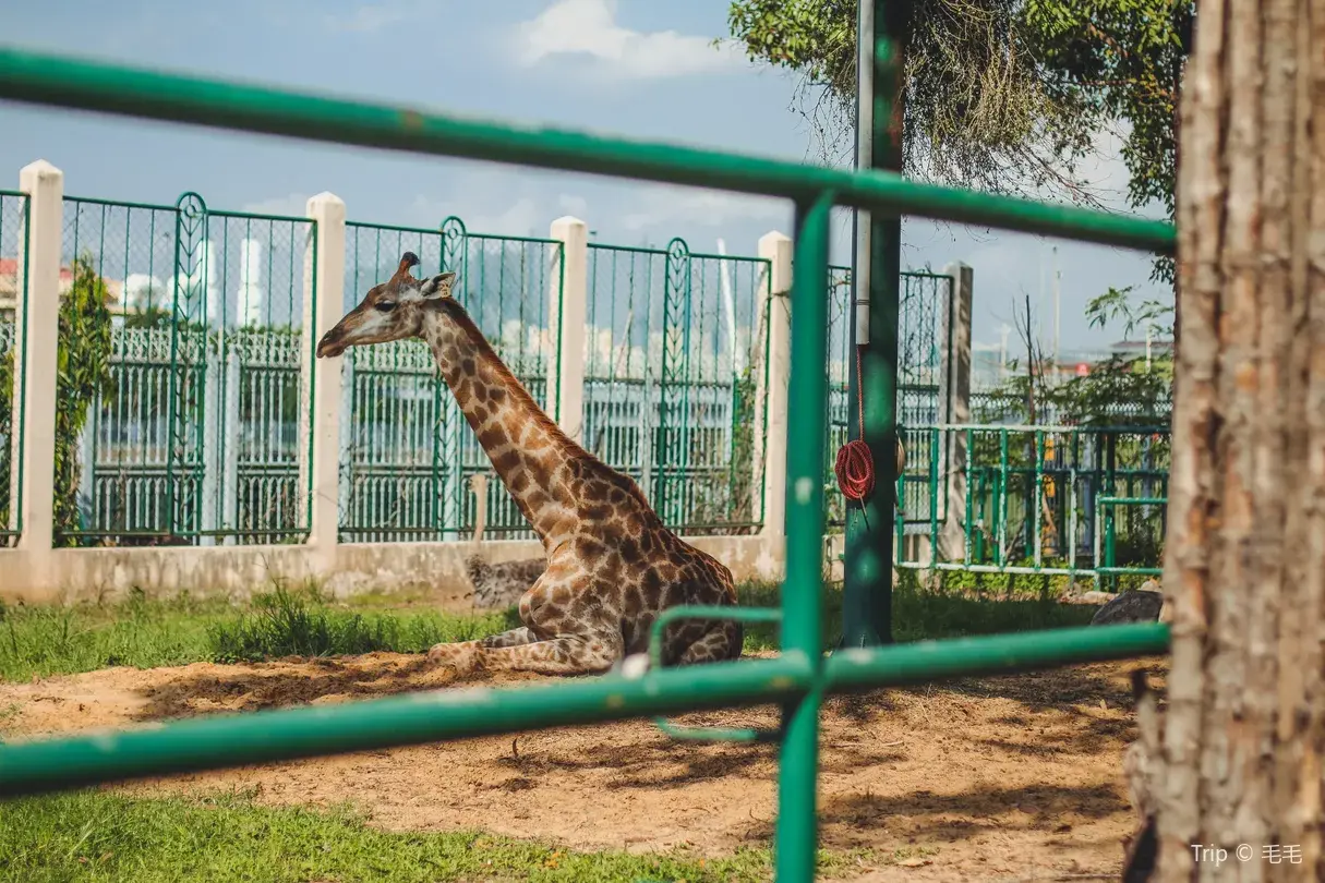 3_西貢動植物園