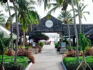 Snorkels Bar & Grille