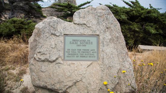 圆石滩的孤柏是十七里湾沿途最著名的摄影景点。它孤零零地屹立在