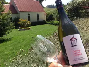 Leaning Church Vineyard