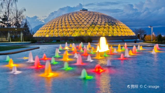 加拿大溫哥華卡皮拉諾吊橋公園+松雞山+伊莉莎白女王公園一日遊