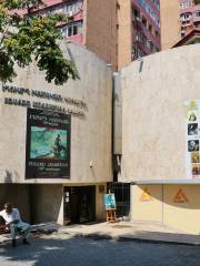 Museo de Arte Moderno