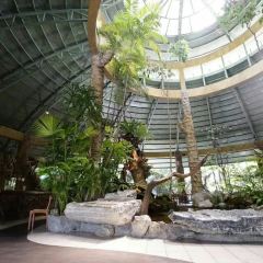 黑森林餐廳張用戶圖片