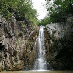 TAO HUA CHONG SEN LIN GONG YUAN HUA CHENG NONG GU User Photo