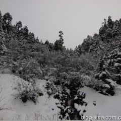 Cuihua Stone Pot Restaurant with Local features User Photo