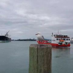 Harbourside Ocean Bar Grill User Photo