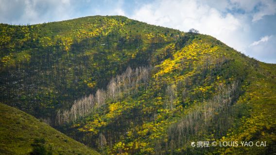 XinzhouTravel Services