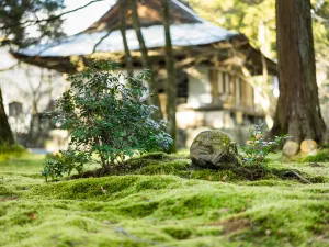 Sanzen-in