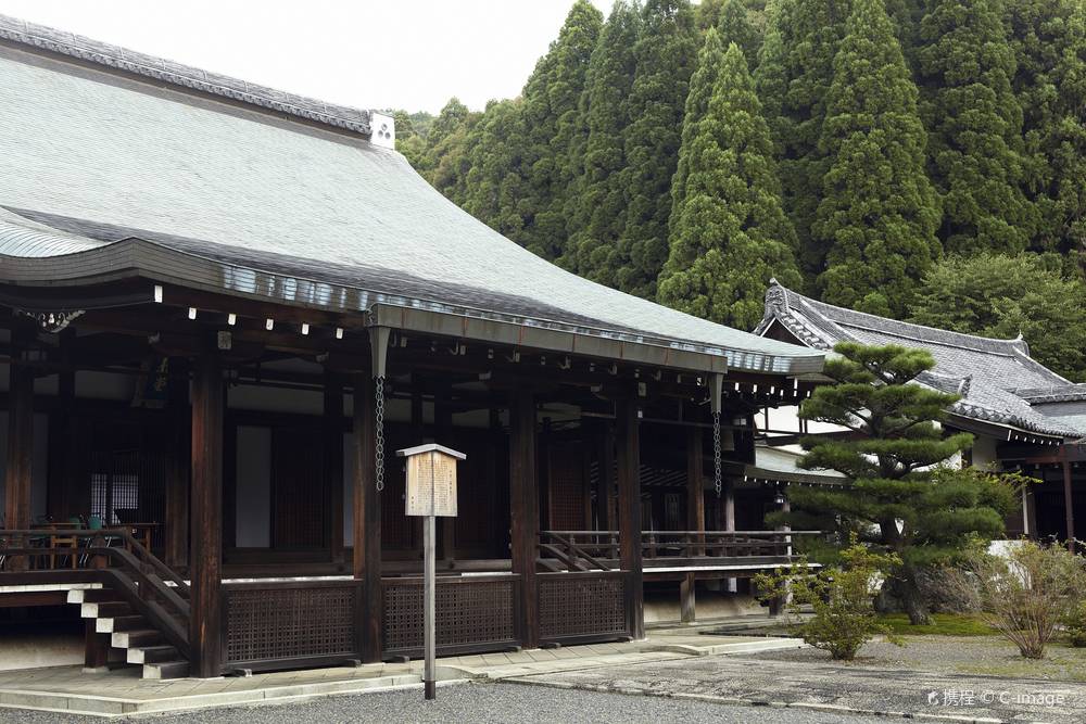 Saihoji Temple + Tenryuji Temple + Sagano Bamboo Forest Trail + Togetsukyo Bridge One-Day Tour