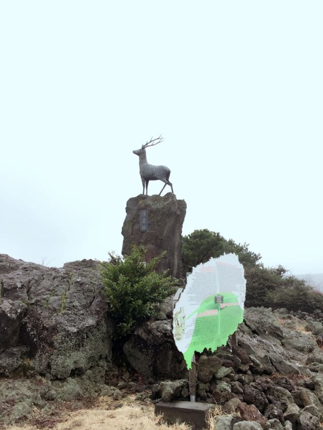 山君不離