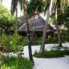 Banyan Restaurant User Photo
