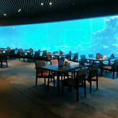 Aqua - Aquarium Restaurant User Photo
