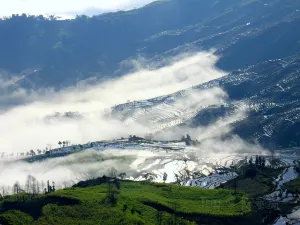 Samaba Rice Terrace Fields