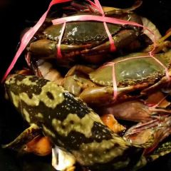 Orkid Ria Seafood Restaurant User Photo