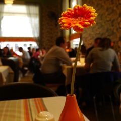 Menza Restaurant and Cafe User Photo