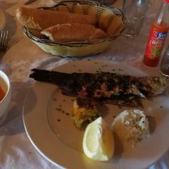 Resto Zayna User Photo