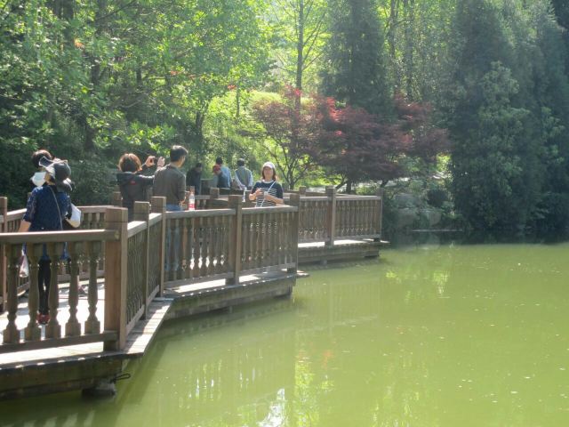 Yangtian Lake Scenic Area