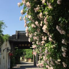 绍兴大禹开元观堂·禹家大院 User Photo