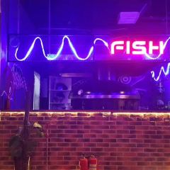 飞碟鱼(星光天地店) User Photo