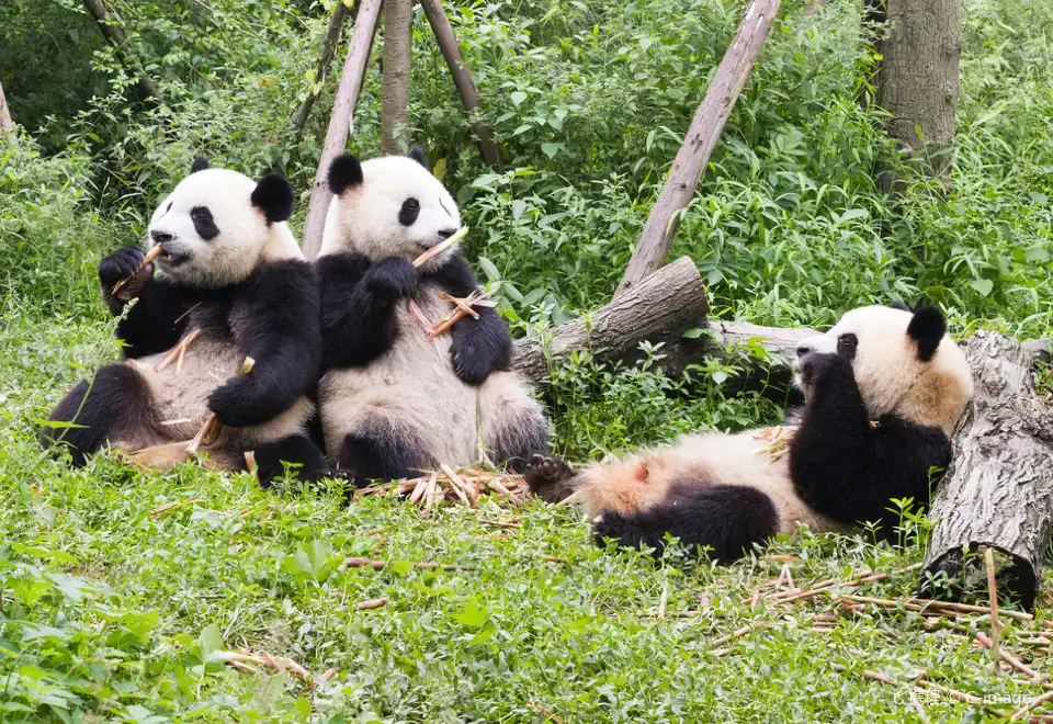 Welcome Suica&JR Line One Day Pass (Pick up at Haneda Airport)