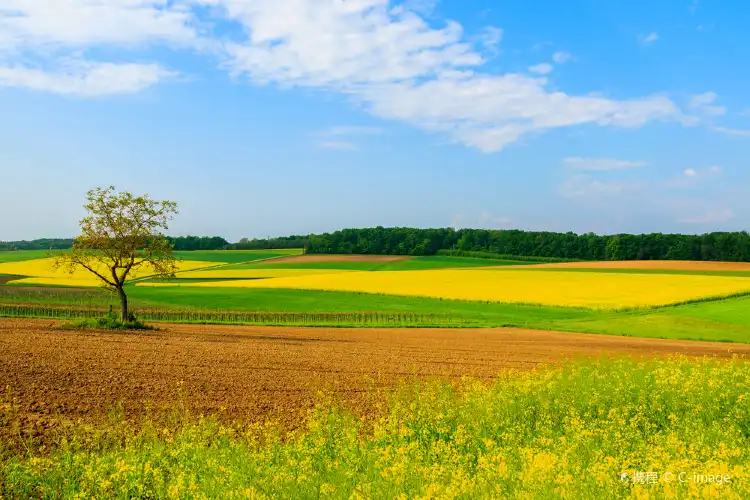 Khách sạn 2 Sao tại Burgenland, Áo