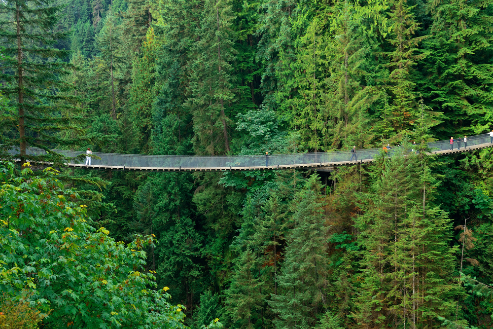 Capilano Suspension Bridge Park