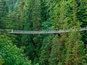 Capilano Suspension Bridge Park