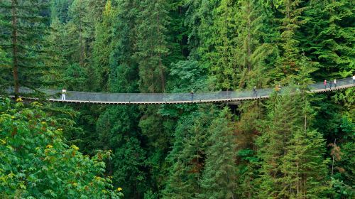 Capilano Suspension Bridge Park