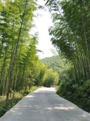 Национальный лесной парк Вэньфэншань