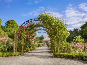 Hagley Park North