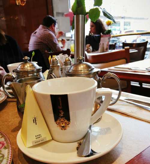Cafe Concerto