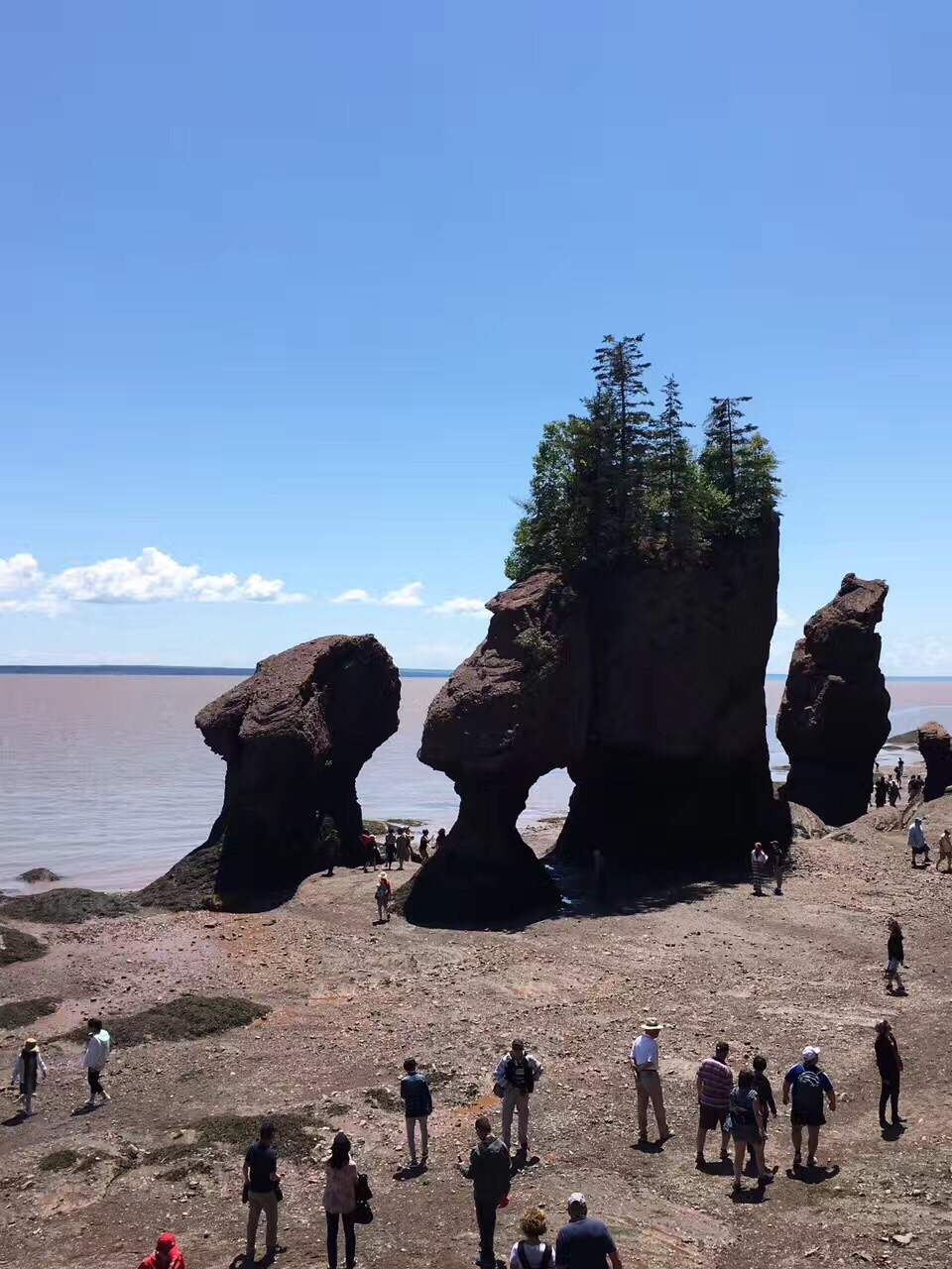 ファンディ湾のレビュー ファンディ湾のチケット ファンディ湾の割引 ファンディ湾の交通機関 所在地 営業時間 ファンディ湾周辺の観光スポット ホテル グルメ Trip Com ファンディ湾のレビュー ファンディ湾のチケット ファンディ湾の割引 ファンディ湾の交通機関 所在地 営業時間 ファンディ湾周辺の観光スポット ホテル グルメ Trip Com
