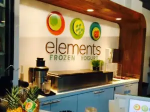 Elements Frozen Yogurt