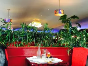 Planet Du Wok