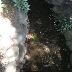 Tsukiji Sushi Sei Honten User Photo