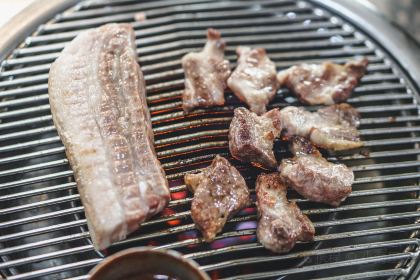 Donsadon (Main Branch)