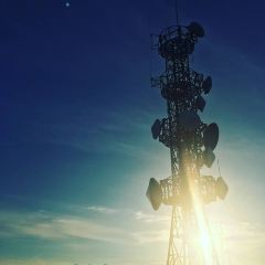 Kohi Morinotokei User Photo