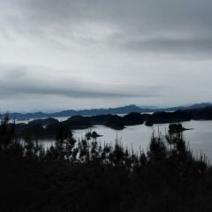 千島湖伊敦度假酒店·逸社全日制餐廳張用戶圖片