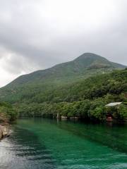 Yakushima Island