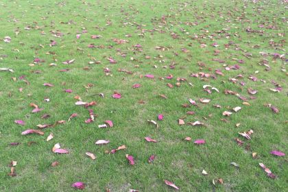 君來世尊飯店·宴會中心梅花廳