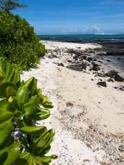 Ile Des Deux Cocos