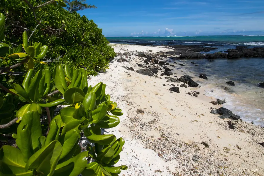 Ile Des Deux Cocos