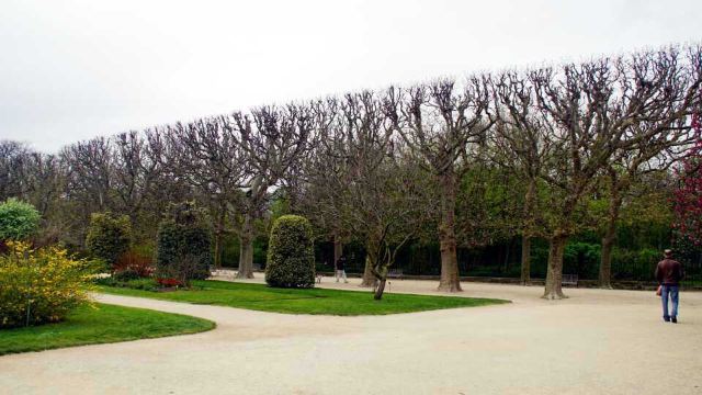 Jardin des serres d'Auteuil
