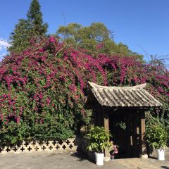 茶物语(茶马街店) User Photo