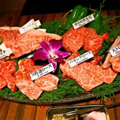 Matsusakagyu Yakiniku M HOZENJI YOKOCHO User Photo